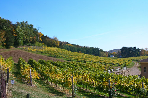 A sweeping view of Wollersheim Winery. Photo by Samantha Overgaard