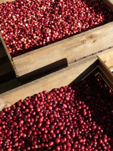 Ten interesting tidbits about Wisconsin’s #1 fruit crop